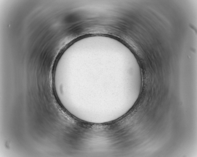 X0000098140840200805081018