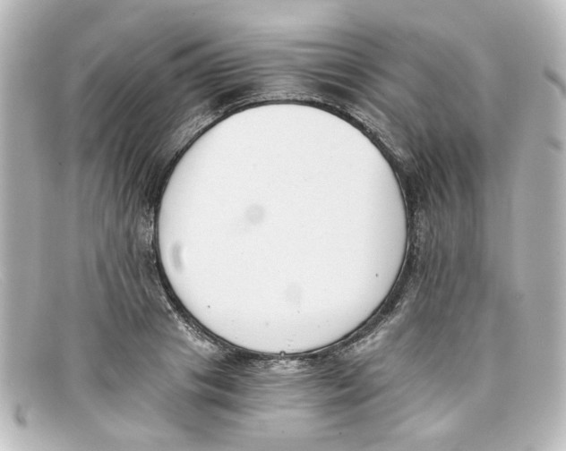 X0000098140841200805081018