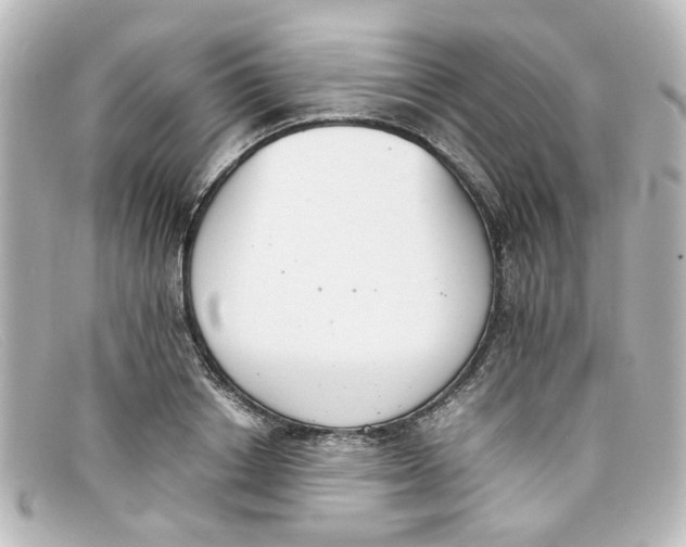 X0000098140842200805081018