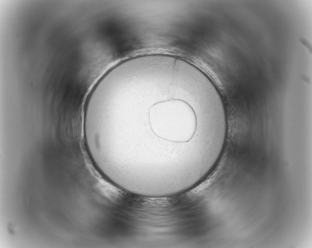 X0000098140844200805081018