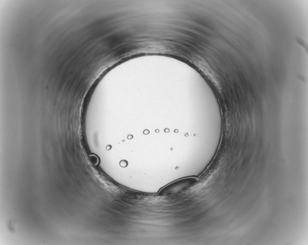 X0000098140845200805081018