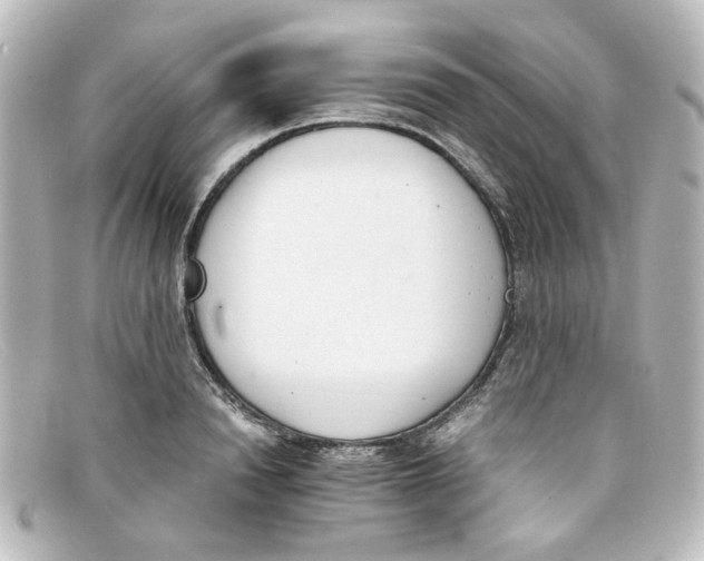 X0000098140846200805081018