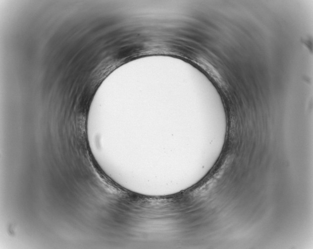 X0000098140849200805081018