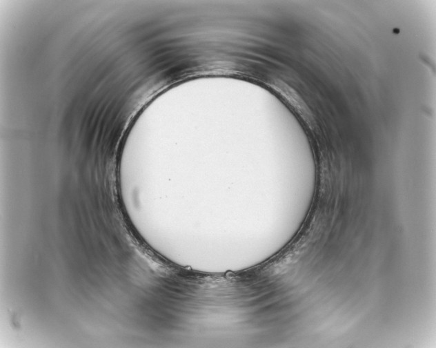 X0000098140850200805081018