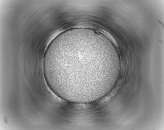 X0000098140855200805081018