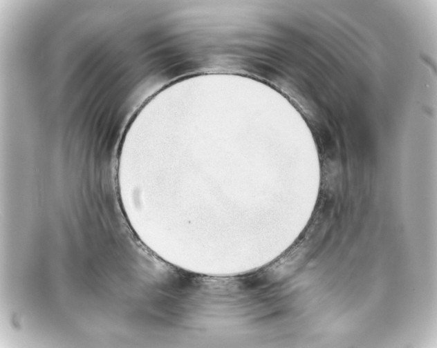 X0000098140856200805081018