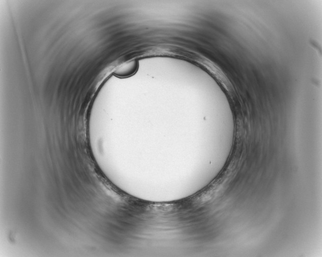 X0000098140858200805081018