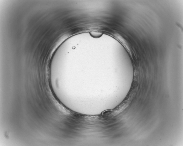 X0000098140859200805081018