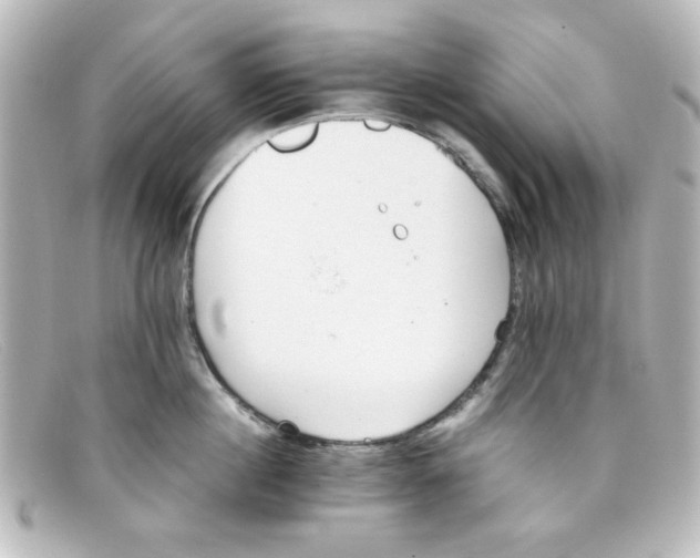 X0000098140860200805081018
