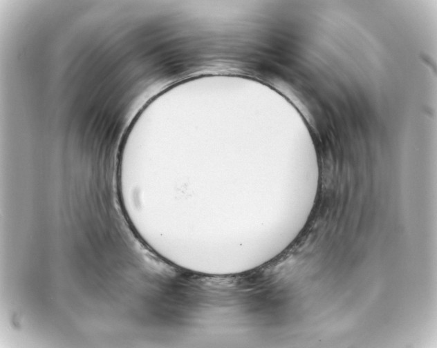 X0000098140861200805081018