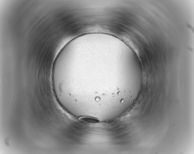 X0000098140863200805081018