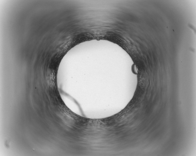 X0000098140866200805081018