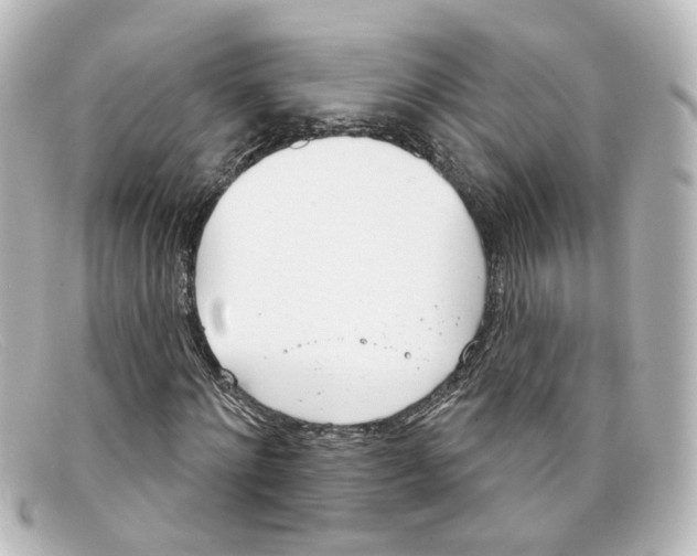 X0000098140868200805081018