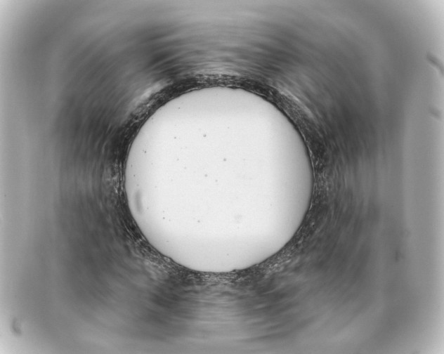 X0000098140870200805081018