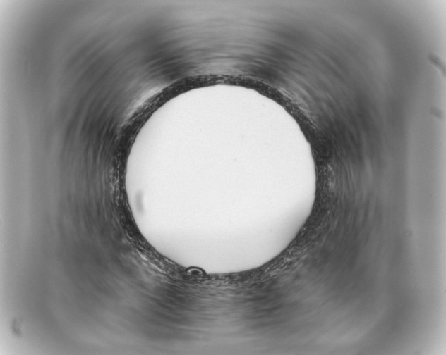 X0000098140872200805081018