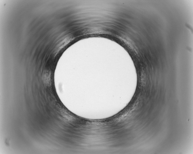 X0000098140873200805081018