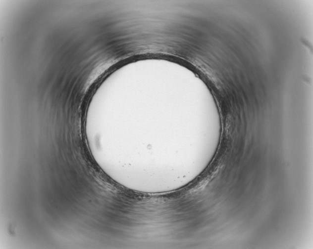 X0000098140877200805081018