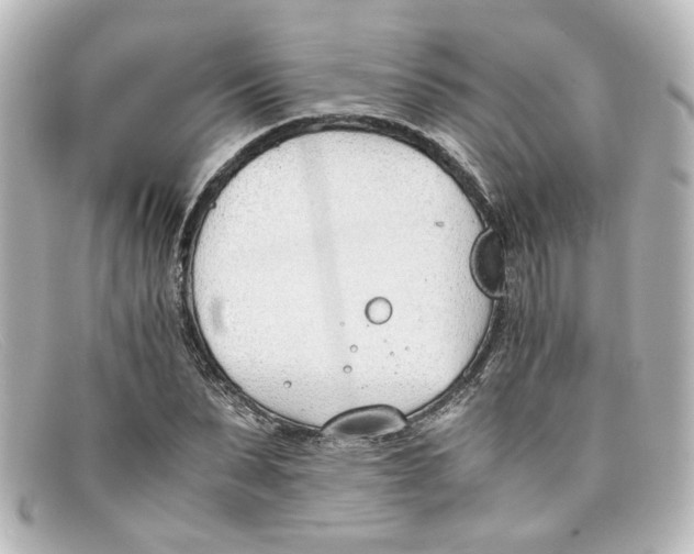 X0000098140879200805081018