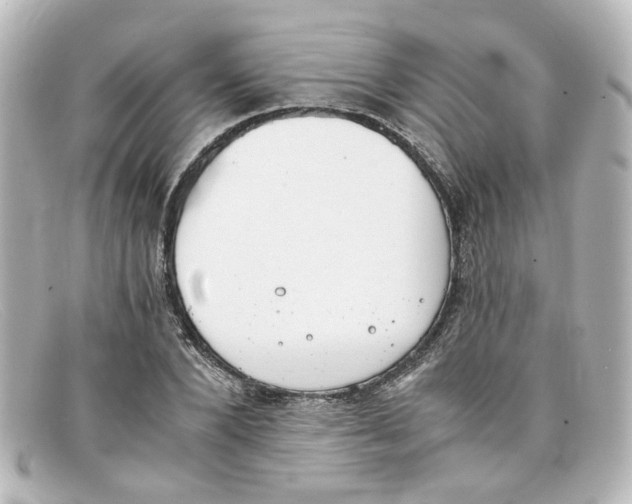 X0000098140880200805081018