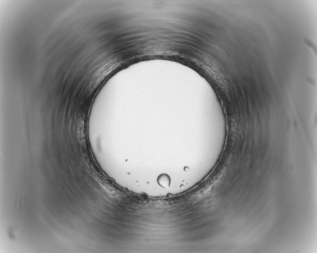 X0000098140881200805081018