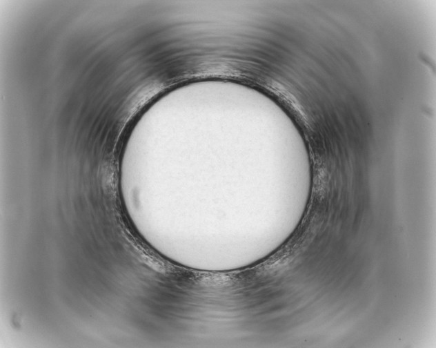 X0000098140882200805081018