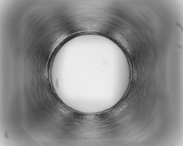 X0000098140883200805081018