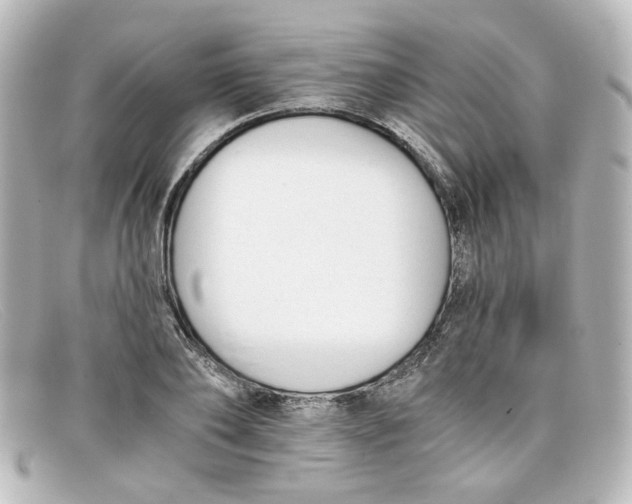 X0000098140886200805081017