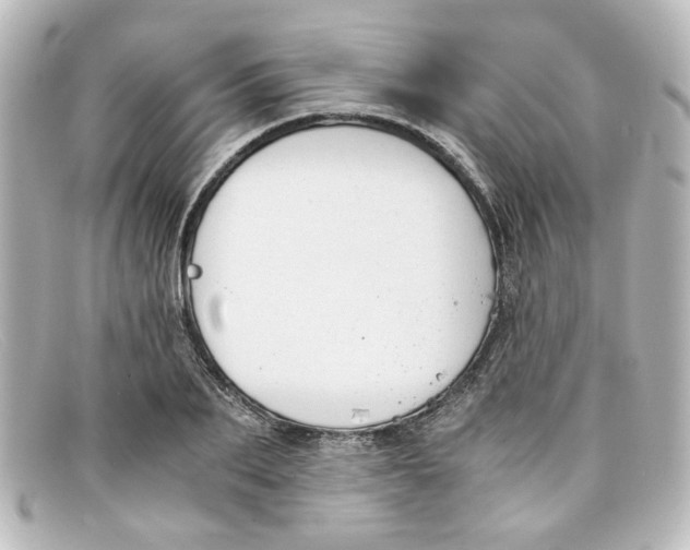 X0000098140887200805081017
