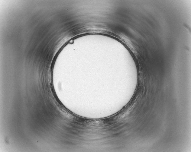 X0000098140891200805081017