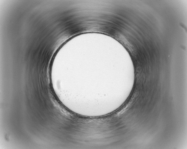 X0000098140892200805081017