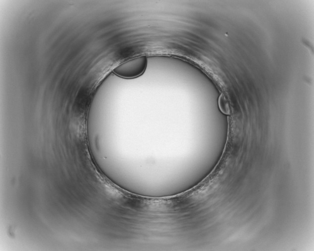 X0000098140897200805081017