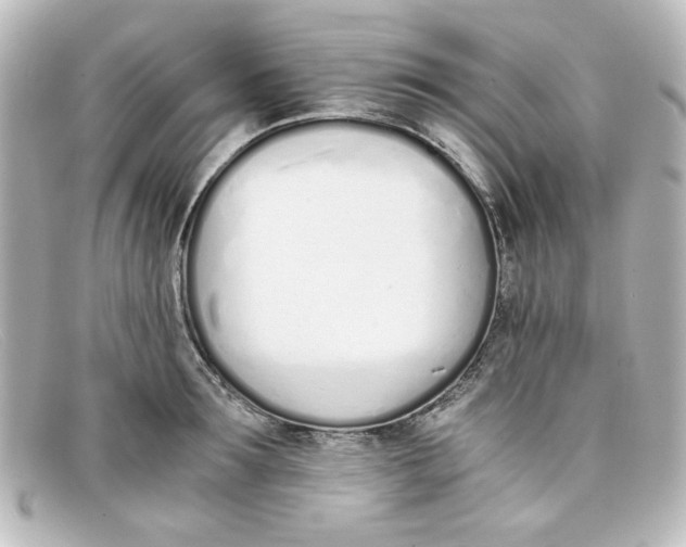 X0000098140899200805081017