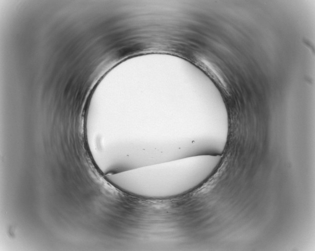 X0000098140900200805081017