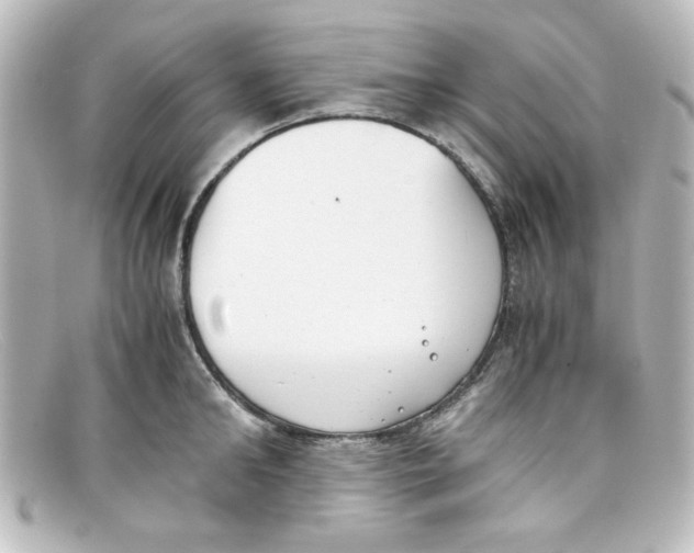 X0000098140902200805081017