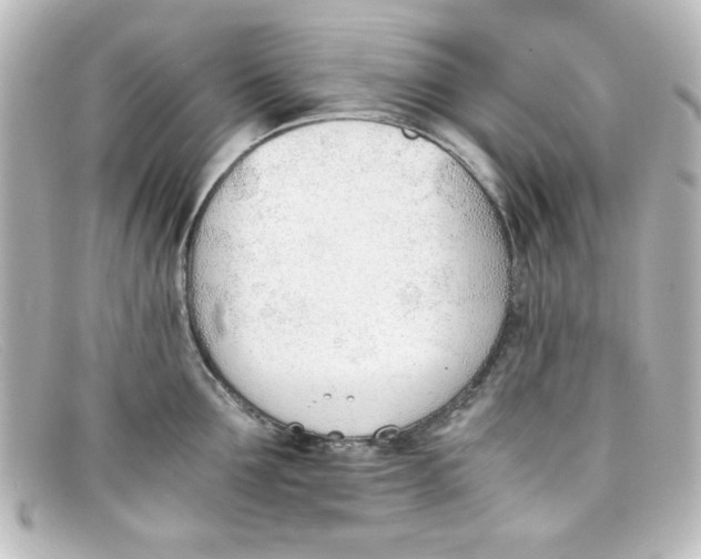 X0000098140907200805081017