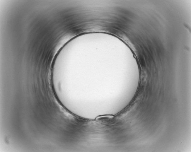 X0000098140909200805081017