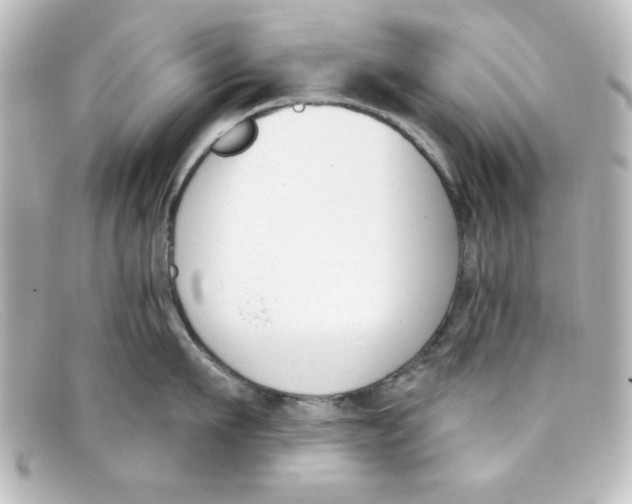 X0000098140911200805081017