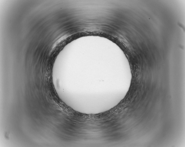 X0000098140920200805081016