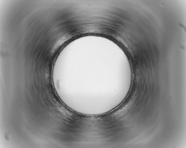 X0000098140922200805081017