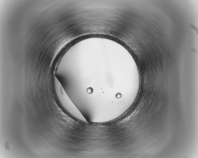 X0000098140926200805081017