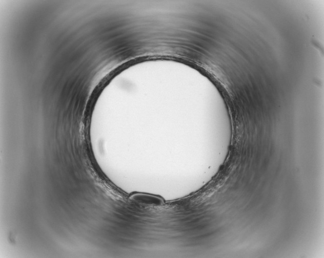 X0000098140928200805081017
