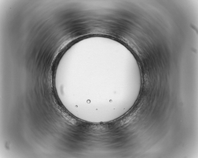 X0000098140931200805081017