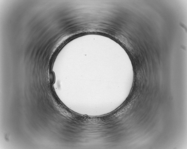 X0000098140934200805081017