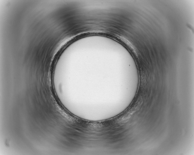 X0000098140935200805081017