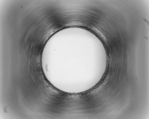 X0000098140937200805081017