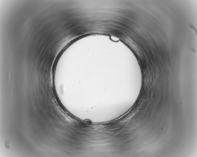 X0000098140940200805081017