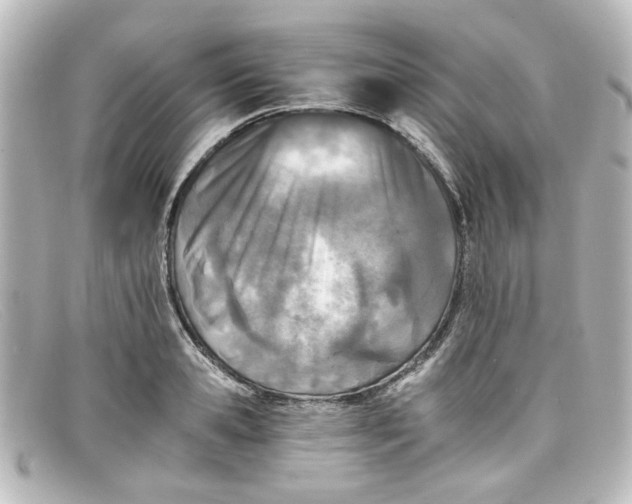 X0000098140941200805081017