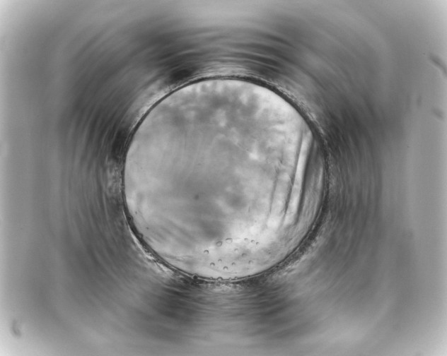 X0000098140945200805081017