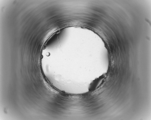 X0000098140946200805081017