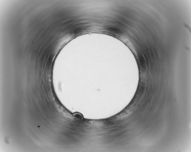 X0000098140954200805081017
